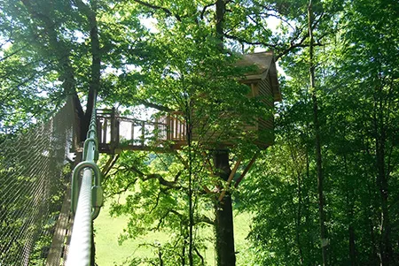 Camping Le Chêne Perché  Champagne-Ardennes - Signy-l'Abbaye visuel 8/9