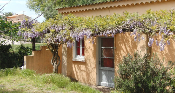 Le Clair de Lune Provence-Alpes-Côte d'Azur - Hyères visuel 7/12