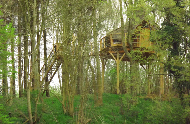 le Clos Cacheleux Picardie - Miannay visuel 4/10