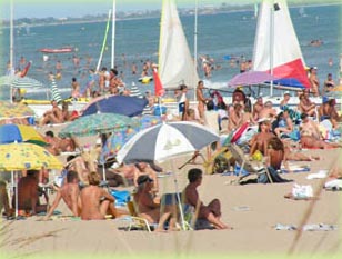 Le Sérignan nature Languedoc-Roussillon - Sérignan visuel 1/1 Le Sérignan nature Languedoc-Roussillon - Sérignan visuel 1/1