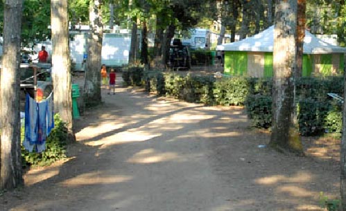 Le Clos des Pins Pays de Loire - Longeville sur Mer visuel 6/10