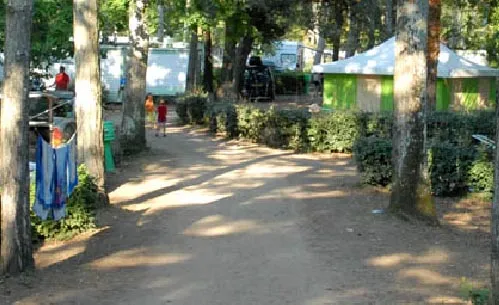 Camping Le Clos des Pins Pays de Loire - Longeville sur Mer visuel 6/10