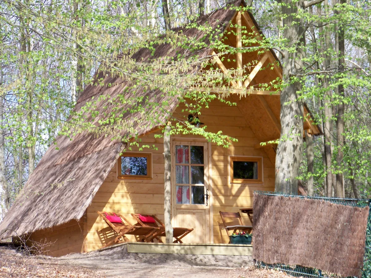 Camping Le Coeur de la Forêt Picardie - Pierrefonds visuel 5/6