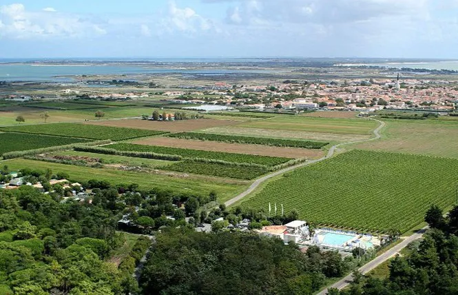 Camping Le Cormoran Poitou-Charentes - Ars-en-Ré visuel 5/5