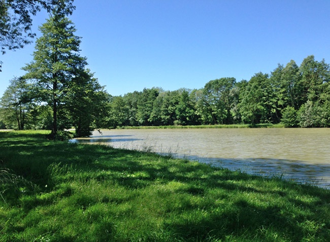 Camping de Mépillat Rhône-Alpes - Saint-Nizier-le-Bouchoux visuel 9/13
