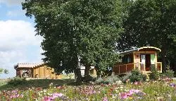 Camping Le Domaine des Cadets de Gascogne Midi-Pyrénées - Pauilhac visuel 2/10