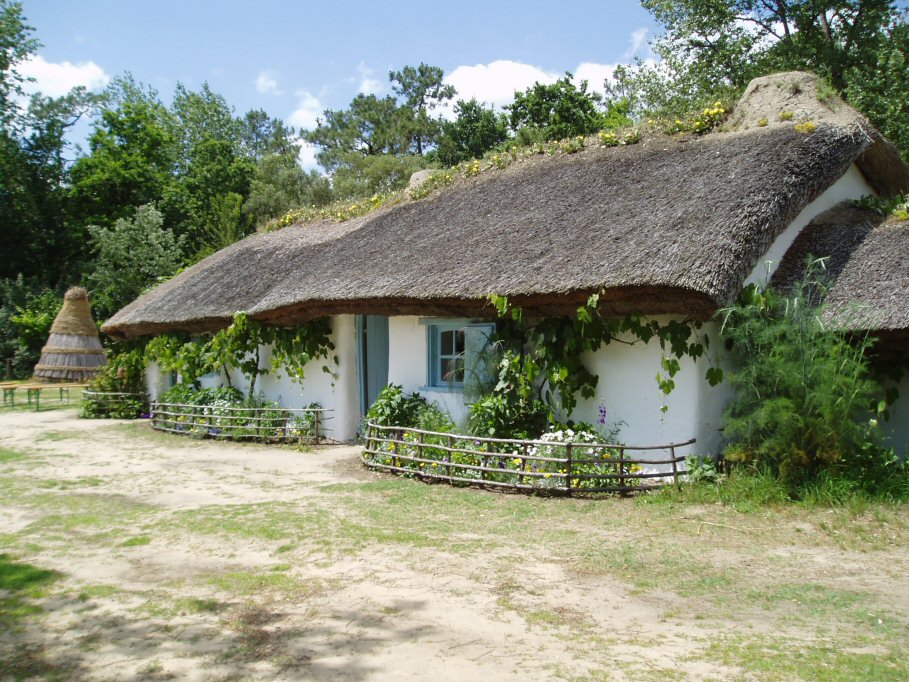 Le Domaine des Pins Pays de Loire - Saint-Hilaire-de-Riez visuel 3/11