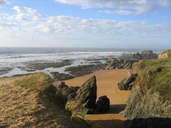 Le Domaine des Pins Pays de Loire - Saint-Hilaire-de-Riez visuel 4/11