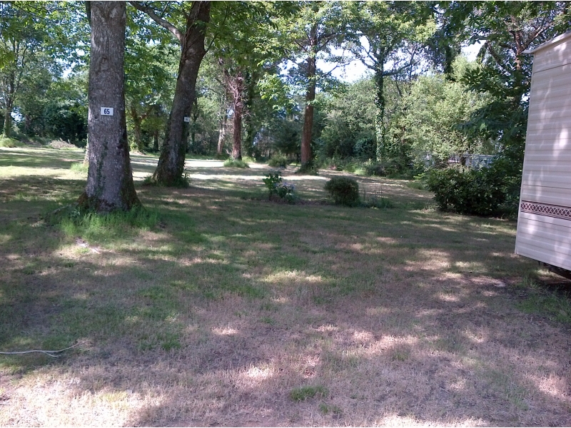 Le Fleuri Bretagne - Trégunc visuel 4/5