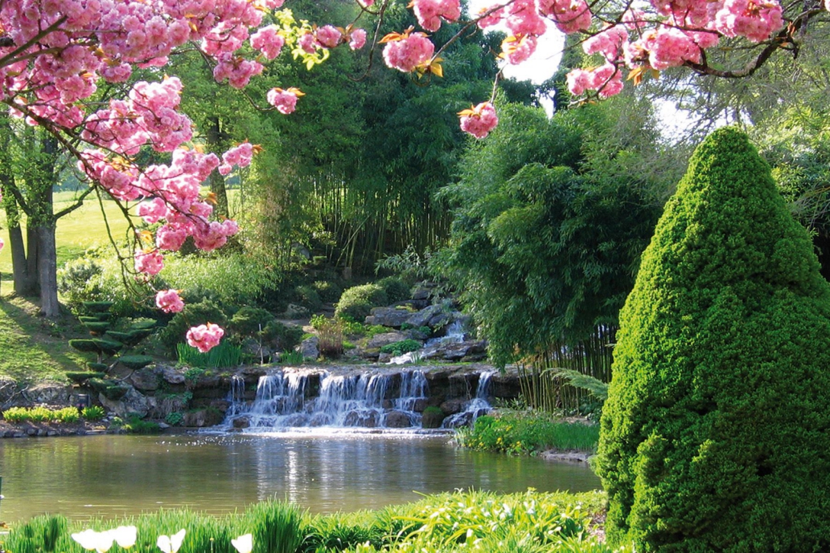 Le Floréal Languedoc-Roussillon - Lattes visuel 1/1 Le Floréal Languedoc-Roussillon - Lattes visuel 1/1