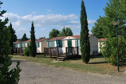 Camping Le Ginestre Toscane - Arezzo visuel 9/10