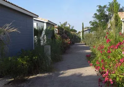 Camping Le Hameau des Canisses Languedoc-Roussillon - Gruissan visuel 4/11