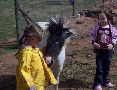 Le Hameau des Genêts Midi-Pyrénées - Montlaur visuel 6/10
