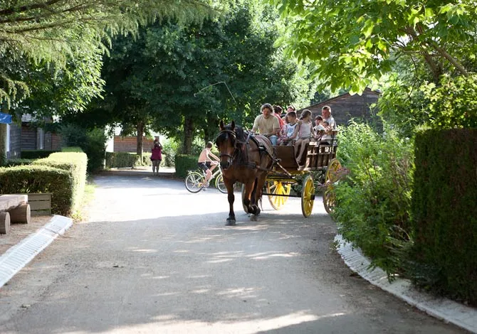 Camping Le Hameau Saint Martial Midi-Pyrénées - Rieupeyroux visuel 6/10