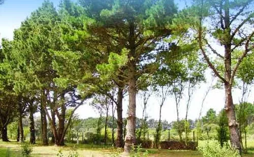 Camping Le Kernest Bretagne - Bangor visuel 7/10