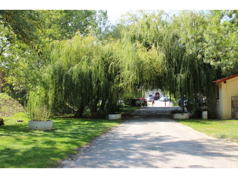 Le Lac de la Thesauque Midi-Pyrénées - Montgeard visuel 3/4 Le Lac de la Thesauque Midi-Pyrénées - Montgeard visuel 3/4