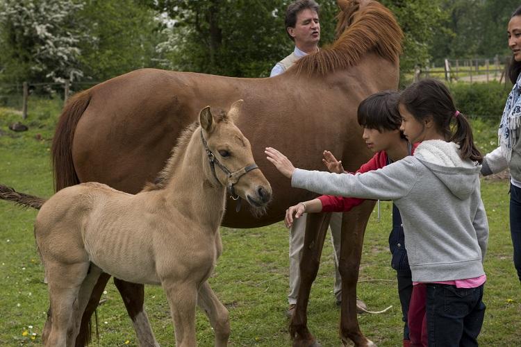 Le Lieu Dieu Picardie - Beauchamps visuel 7/8