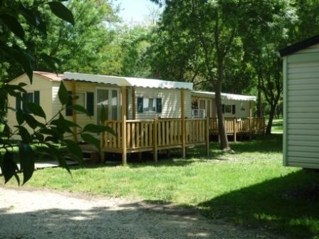 Le Lion Rhône-Alpes - Bourg-Saint-Andéol visuel 5/11