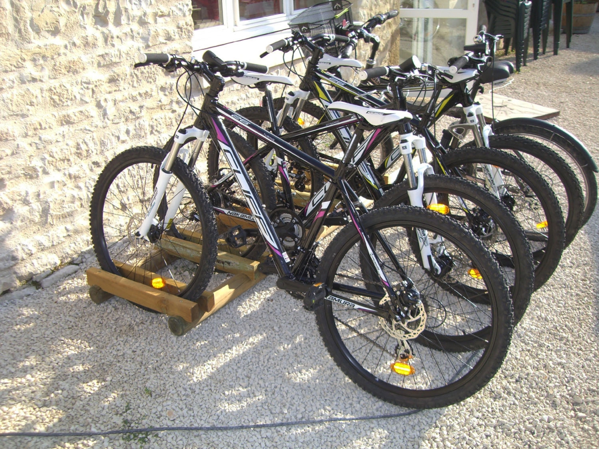 Le Lizot Poitou-Charentes - Saint-Mandé-sur-Brédoire visuel 5/10