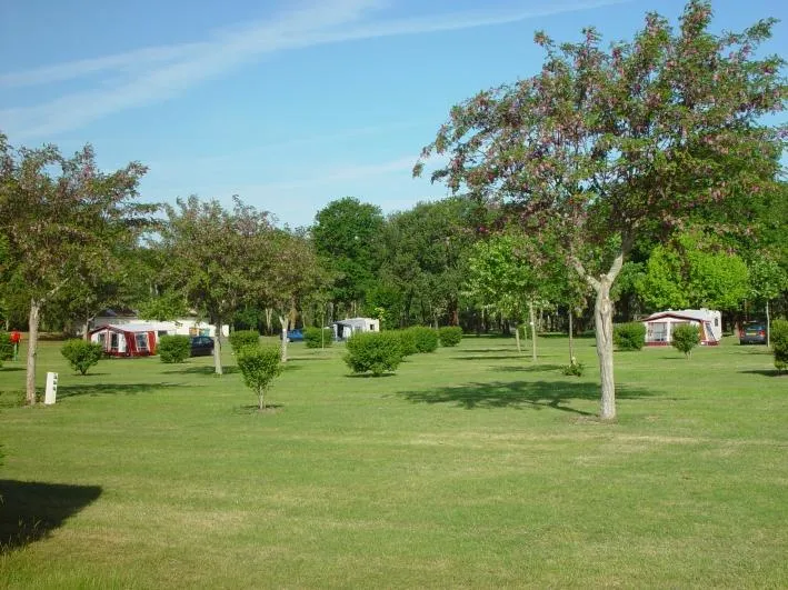 Camping Le Logis du Breuil Poitou-Charentes - Saint-Augustin visuel 6/10
