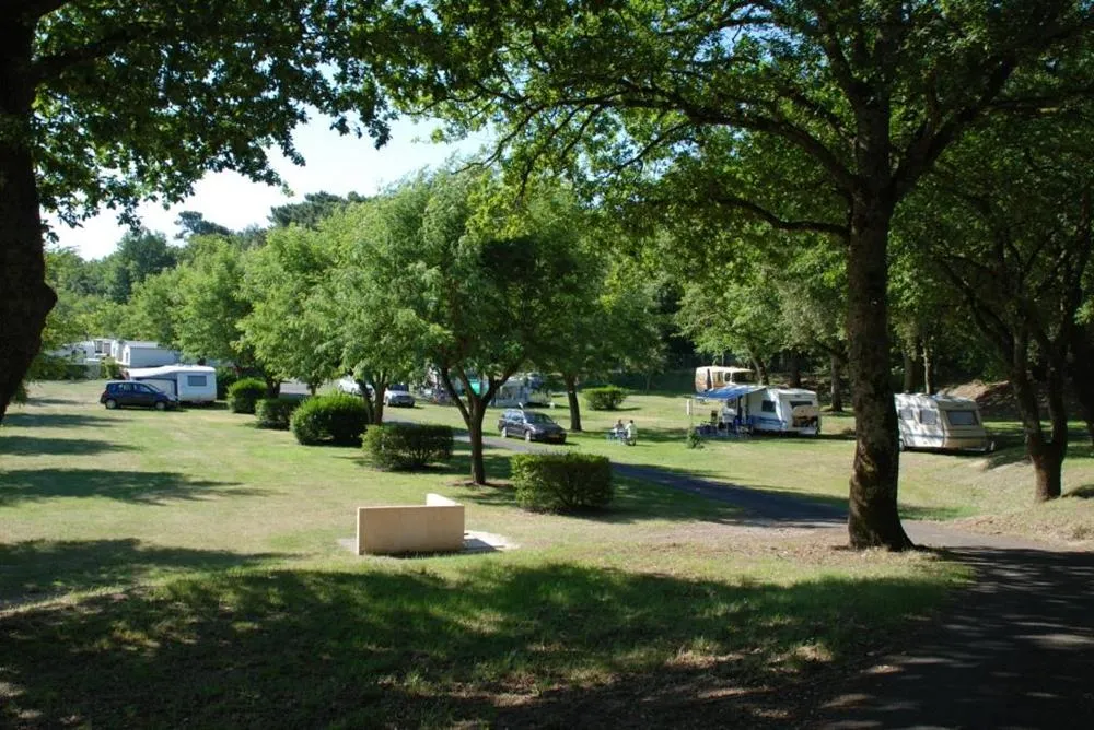 Camping Le Logis du Breuil Poitou-Charentes - Saint-Augustin visuel 8/10