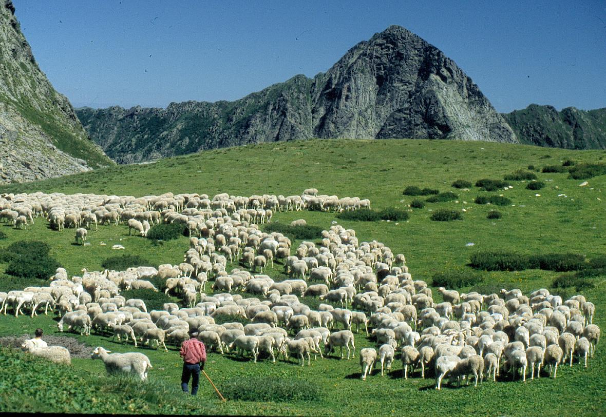 Le Malazéou Midi-Pyrénées - Ax-les-Thermes visuel 12/16