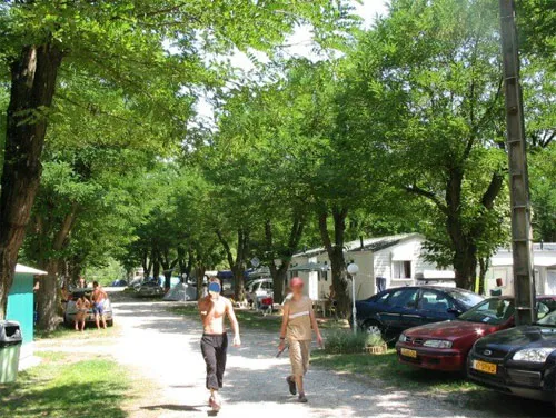 Camping Maui Rhône-Alpes - Tournon sur Rhône visuel 4/11
