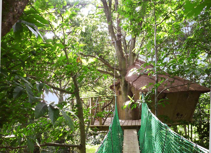 Le Manoir de l'Alleu Bretagne - La Chapelle-Chaussée visuel 2/10 Le Manoir de l'Alleu Bretagne - La Chapelle-Chaussée visuel 2/10