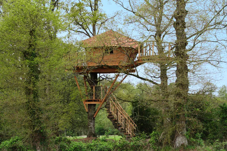 Camping Le Manoir de l'Alleu Bretagne - La Chapelle-Chaussée visuel 10/10