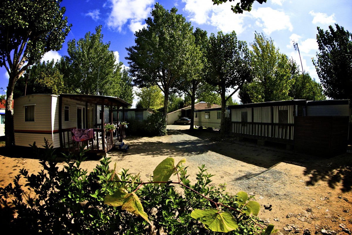 Le Marais Neuf Pays de Loire - La Barre-de-Monts visuel 4/8