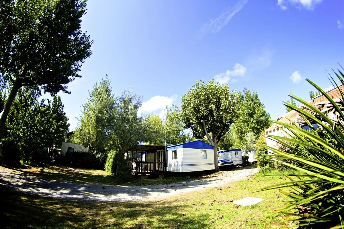 Camping Le Marais Neuf Pays de Loire - La Barre-de-Monts visuel 4/8