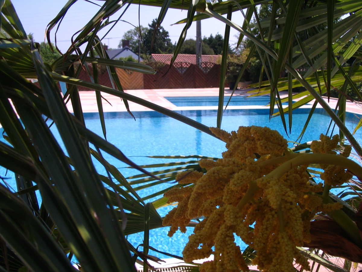 Le Marais Neuf Pays de Loire - La Barre-de-Monts visuel 8/8