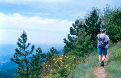 Le Martinet Languedoc-Roussillon - Saint-Étienne-Vallée-Française visuel 6/10
