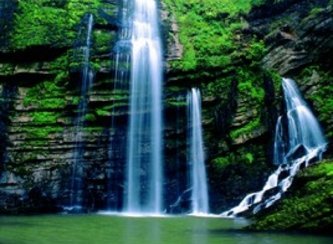 Le Martinet Franche-Comté - Villard-Saint-Sauveur visuel 7/11