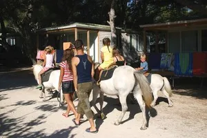 Camping Le Mas Provence-Alpes-Côte d'Azur - Martigues visuel 2/11