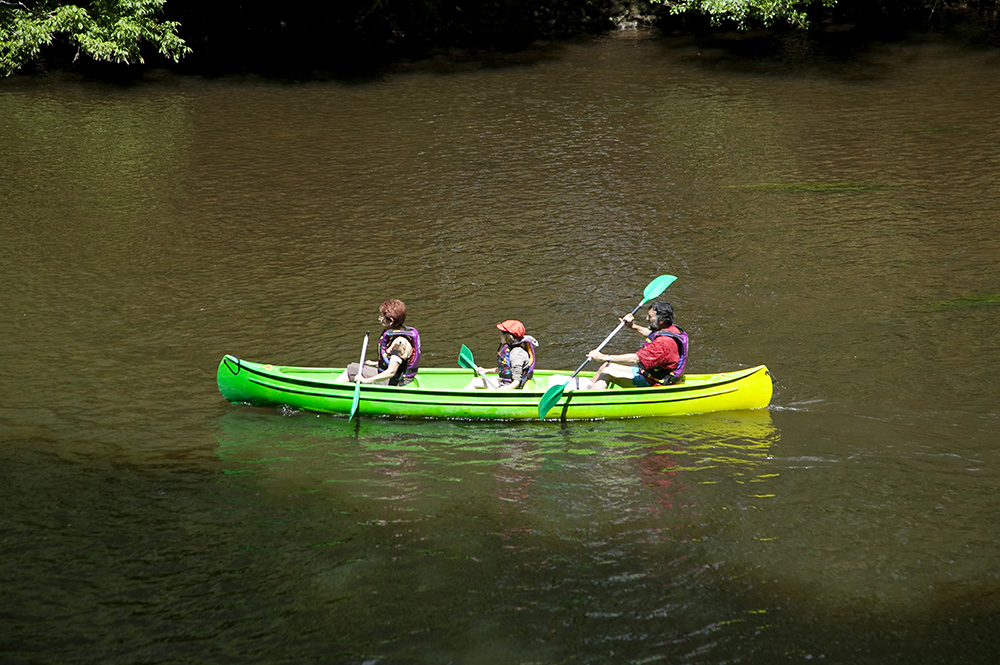 Le Mas Aquitaine - Les Eyzies de Tayac Sireuil visuel 7/13