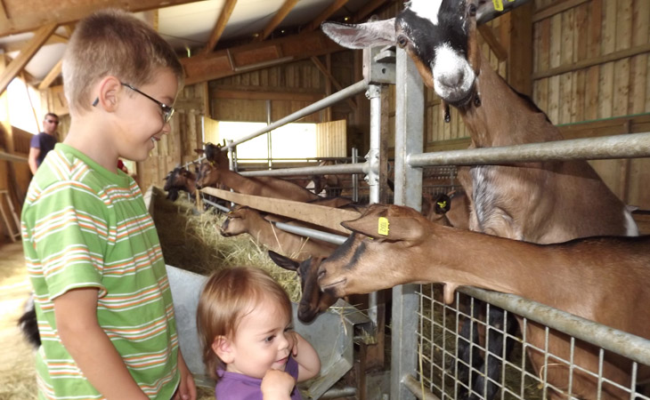 Le Matin Calme Rhône-Alpes - Vesc visuel 10/11