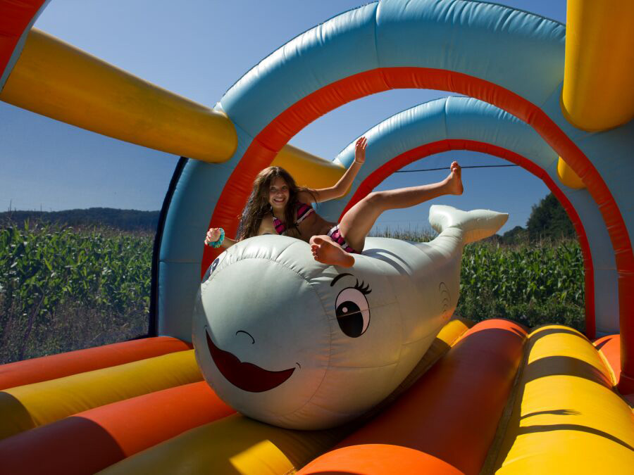 Le Monlôo Midi-Pyrénées - Bagnères-de-Bigorre visuel 9/10