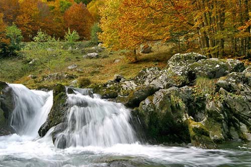 Le Moulin Midi-Pyrénées - Martres-Tolosane visuel 8/10 Le Moulin Midi-Pyrénées - Martres-Tolosane visuel 8/10