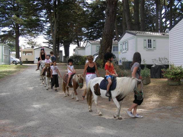 Le Moulin de l'Eclis Pays de Loire - Assérac visuel 9/11