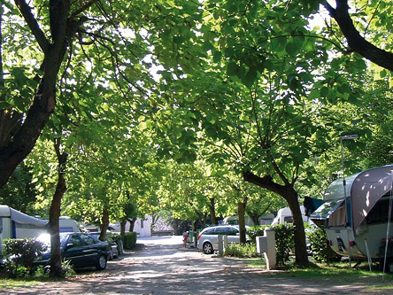 Le Moulin de Sainte Anne Languedoc-Roussillon - Villegly visuel 3/7