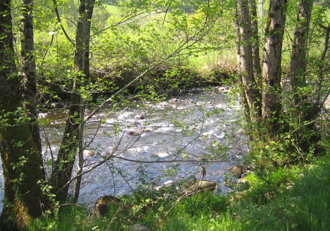 le Moulin du Teinturier Auvergne - Saint-Martin-Valmeroux visuel 3/10