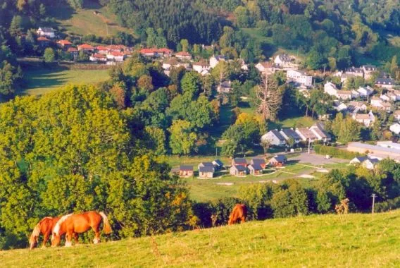 Camping le Moulin du Teinturier Auvergne - Saint-Martin-Valmeroux visuel 9/10