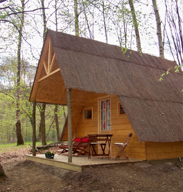 Camping Le Nid dans l'Arbre Picardie - Pierrefonds visuel 2/10