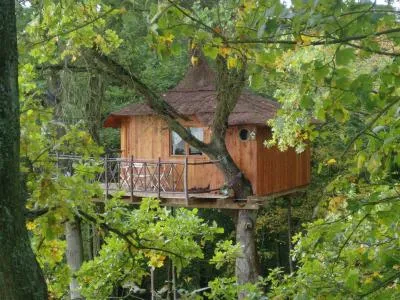Camping Le Nid dans l'Arbre Picardie - Pierrefonds visuel 10/10