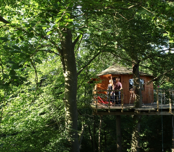 Le Nid dans l'Arbre Picardie - Pierrefonds visuel 7/10 Le Nid dans l'Arbre Picardie - Pierrefonds visuel 7/10