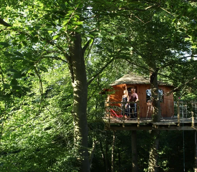 Camping Le Nid dans l'Arbre Picardie - Pierrefonds visuel 6/10