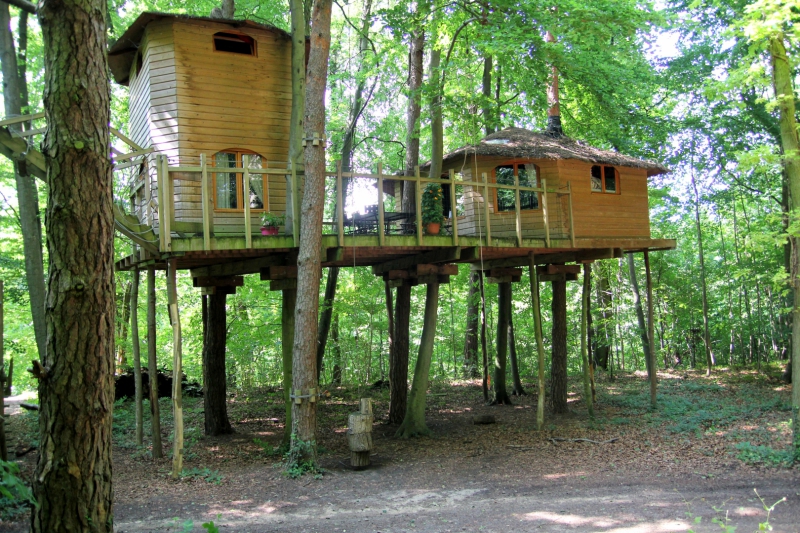 Le Nid dans l'Arbre Picardie - Pierrefonds visuel 8/10 Le Nid dans l'Arbre Picardie - Pierrefonds visuel 8/10