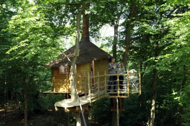 Camping Le Nid dans l'Arbre Picardie - Pierrefonds visuel 9/10