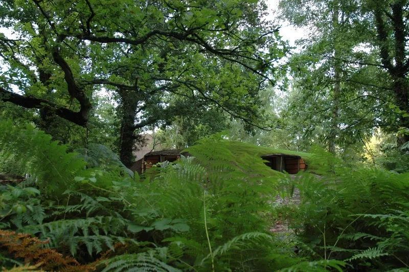 Camping Le Nid dans les Bruyères Picardie - Fère-en-Tardenois visuel 9/10